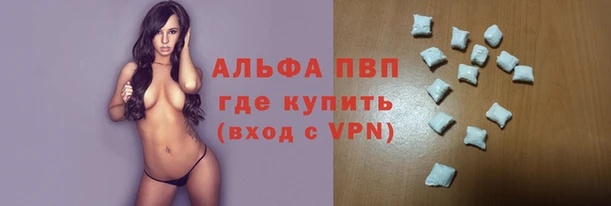 стаф Белоозёрский