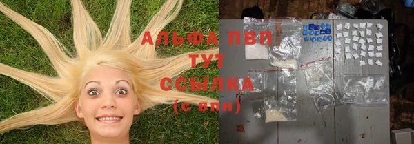 стаф Белоозёрский