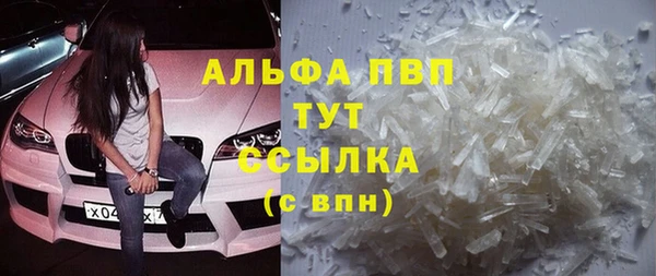 стаф Белоозёрский