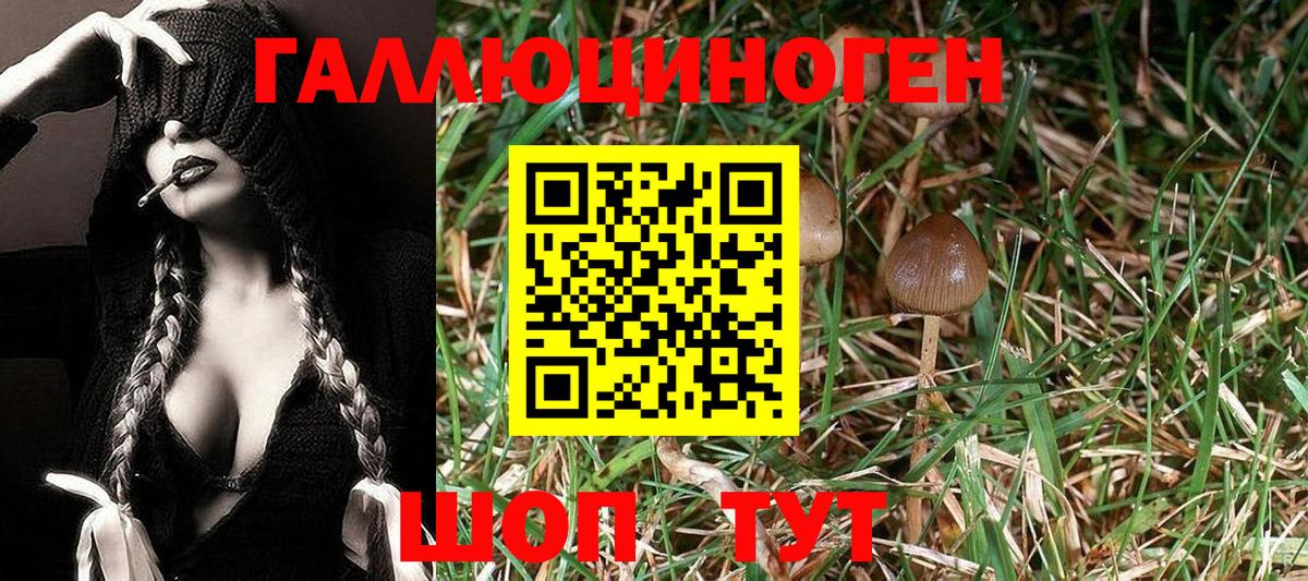 Галлюциногенные грибы Cubensis Верхний Уфалей
